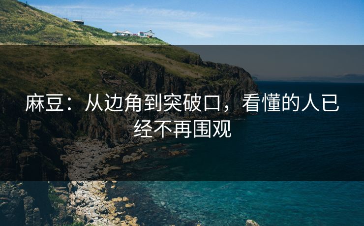 麻豆:从边角到突破口,看懂的人已经不再围观 麻豆:从边角到突破口,看懂的人已经不再围观