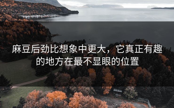 麻豆后劲比想象中更大,它真正有趣的地方在最不显眼的位置 麻豆后劲比想象中更大,它真正有趣的地方在最不显眼的位置